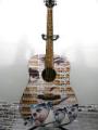 mytego-acoustic-guitar The guitar which had a once-off MyTego skin applied (Picture via Trans World News)