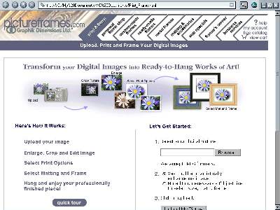 An image of the PictureFrames.com website